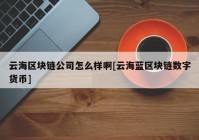 云海区块链公司怎么样啊[云海蓝区块链数字货币]